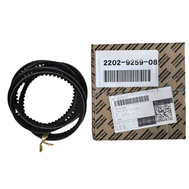2202925908 ATLAS COPCO V-BELT (set 2x) XPZ L = 1250 AC per compressore a vite iniettata a olio originale