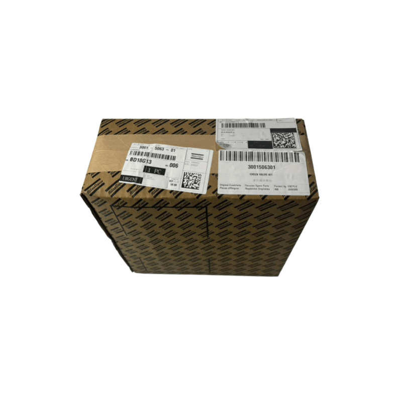 Originale 3001506301 Atlas Copco Copco Free compressori Kit valvole