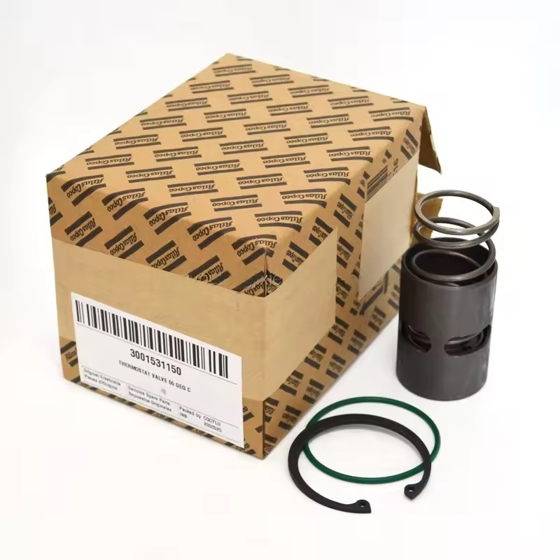 Atlas Copco originale 55 ° C Valvola di controllo della temperatura 3001531150