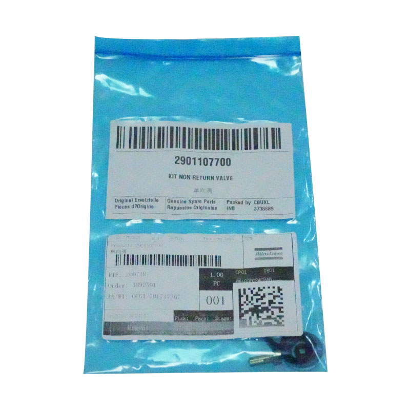 2901107700 Controllo della valvola del kit