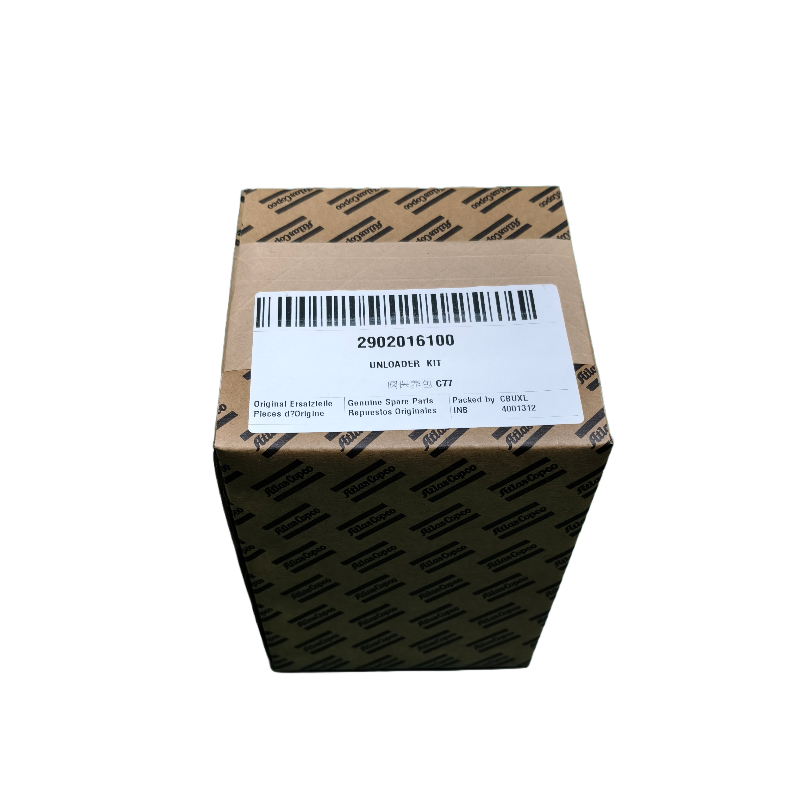 2902016100 KIT SCARICO