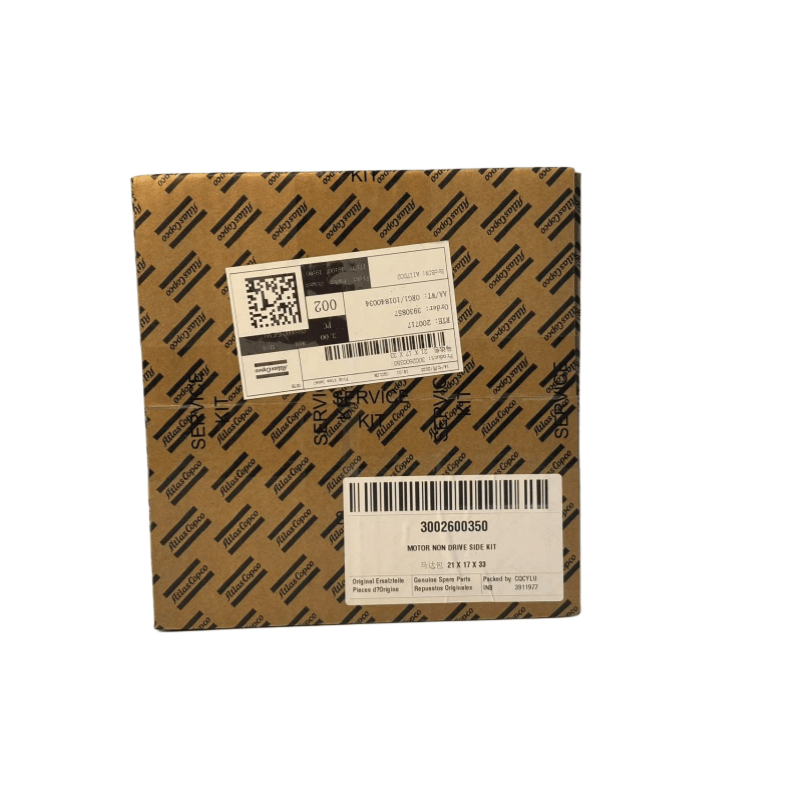 Originale 3002600350 Atlas Copco Motore non azionamento Kit laterale per olio I compressori a vite iniettati
